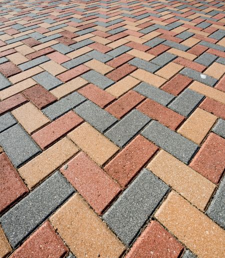 Paver Cleaning 101: How to Restore Pavers After a Carolina Summer (Algae, Mold, and Mildew)