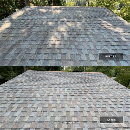 Soft Washing vs. Pressure Washing for Roofs: What Homeowners Should Know Before Hiring